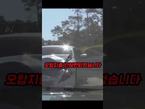 이력서에 거짓말 친 경찰견 thumbnail
