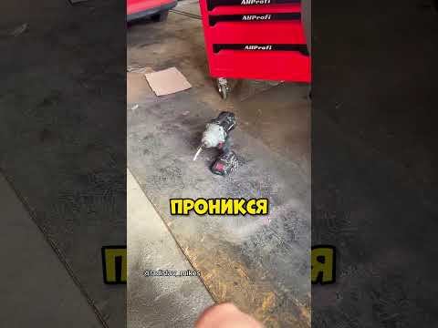 Автолюбители которым НИКОГДА НЕ СКУЧНО? #авто #машина #auto thumbnail