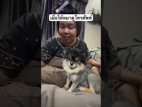 เมื่อให้หมาดูโทรศัพท์ทำไมน้องทำแบบนี้ thumbnail