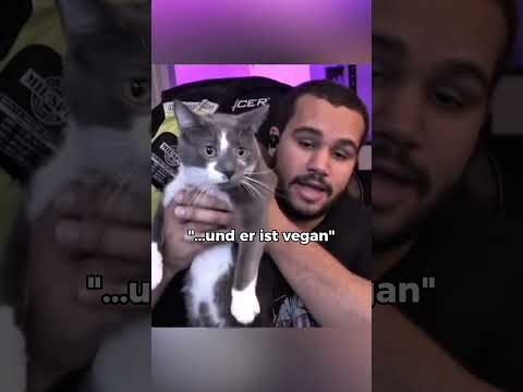 Er wollte seine Katze vegan ernähren😱😳 thumbnail