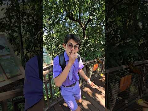 adekk tangkep burung #trandingshorts thumbnail