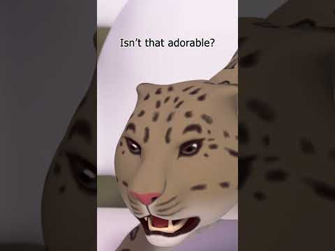 Snow Leopards have THICK PADDED PAWS! | Leo the Wildlife Ranger #shorts thumbnail