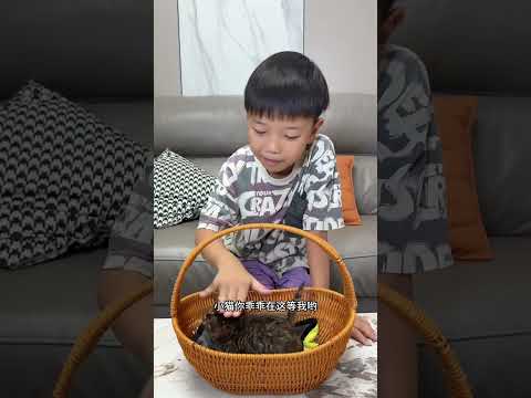 潼潼收养流浪猫， 其实每个孩子都有一颗善良的心！#shorts #funny #搞笑 thumbnail