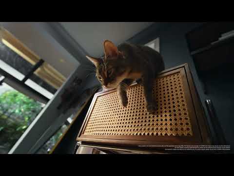 Cat joins your yoga? Relax, HUAWEI Care has you covered. thumbnail