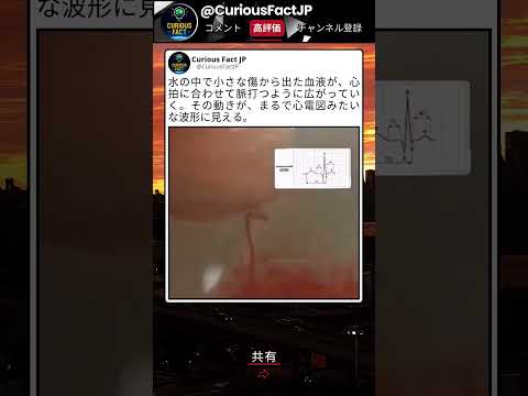 見れば見るほどリズムがわかる thumbnail