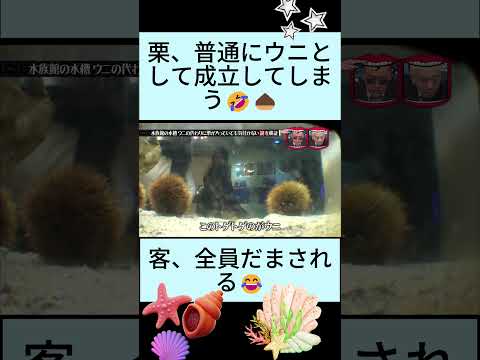 ウニを栗に変えても誰も気付かない説ww🌰🤣#水曜日のダウンタウン thumbnail