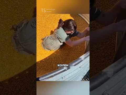 Ты не выберешься сам thumbnail