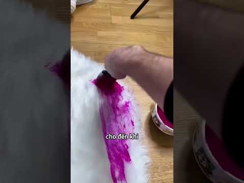 Người bán khẳng định tấm thảm này không bị ố bẩn 😳 thumbnail