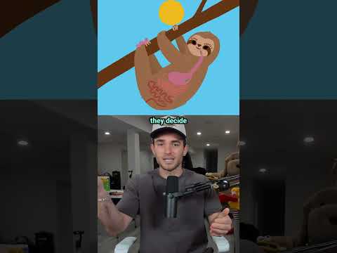 Animals With Bad Designs thumbnail