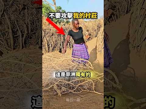 他們的門用樹枝造?可是從來沒有人成功破門? thumbnail