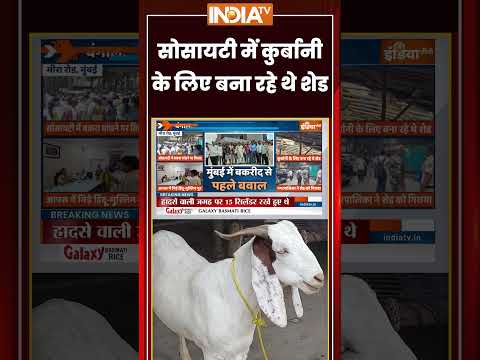 Mira Road Society Clash | सोसायटी में कुर्बानी के लिए बना रहे थे शेड | #bakraeid2026 #maharashtra thumbnail