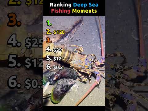 Ranking Deep Sea Fishing Moments Pt.2 #fishing thumbnail