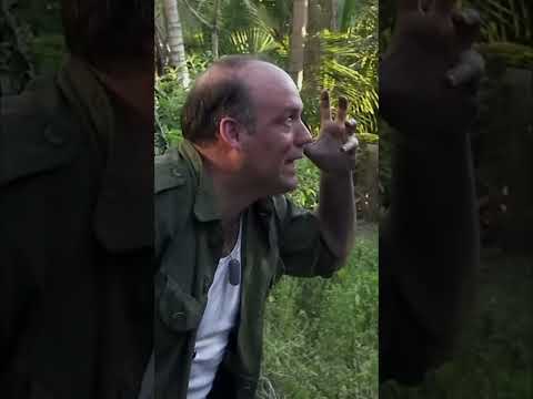 Chicken vs. Soldiers in Jungle // LOL JUST FOR LAUGHS thumbnail