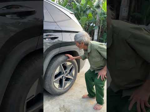 Ông nội tìm kiếm một hồi lâu và phát hiện ra đây chính là con mèo trong điện thoại.😂 #shorts thumbnail