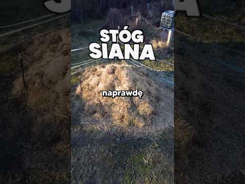 Czy Da Się Znaleźć Igłę w Stogu Siana? thumbnail