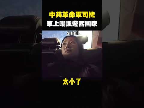 中國司機崩潰，怒嗆越南遊客，你們國家不如中國厲害 #shorts thumbnail