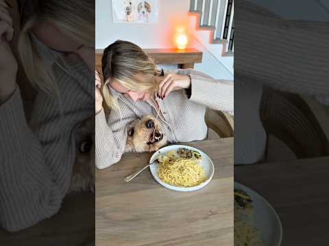 you won’t see it coming.. #dogs #dogcomedy thumbnail
