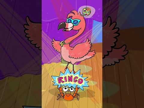 🦩 Ringo, der Flamingo #shorts #kinderlieder #simonesommerland thumbnail