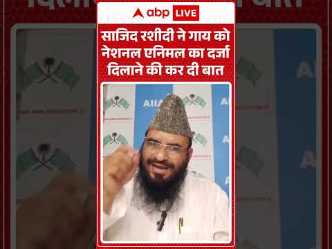 Sajid Rashidi on Cow | साजिद रशीदी ने गाय को National Animal का दर्ज दिलाने की बात की | #shorts thumbnail