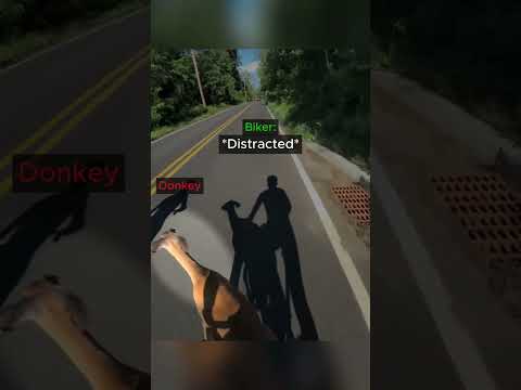 When 2 Bikers Get Cut Off By a Wild Animal…😳 thumbnail