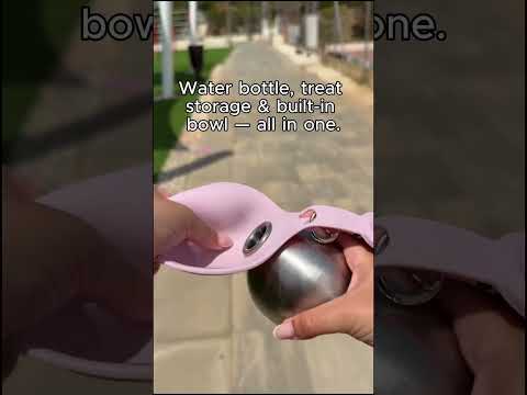 This turns into a bowl in seconds…?? thumbnail
