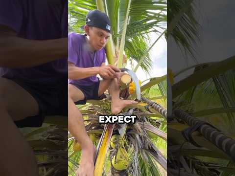 This Palm Bud Hides Something Super Rare 🤯 thumbnail