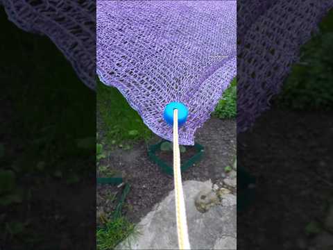 The Best Tarp Corner Knot Tying Technique that Will Never Fail #diy #tips #tricks thumbnail