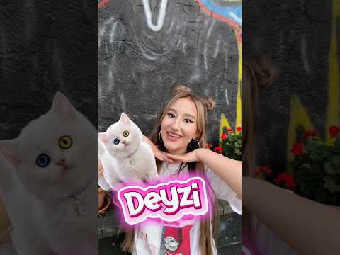 Erkeklerin ve kızların kedilere koyduğu isimler thumbnail