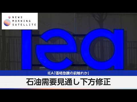 IEA「価格急騰の前触れか」 石油需要見通し下方修正【モーサテ】 thumbnail
