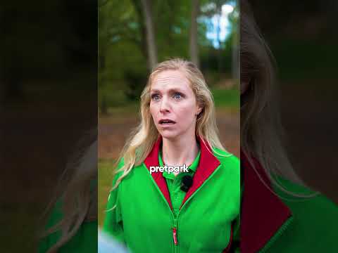 Matz is vermist?!?? Suikerspin of Pannenkoek??? thumbnail
