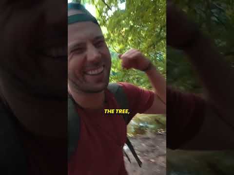The Peeing Tree landmark in Frankfurt thumbnail