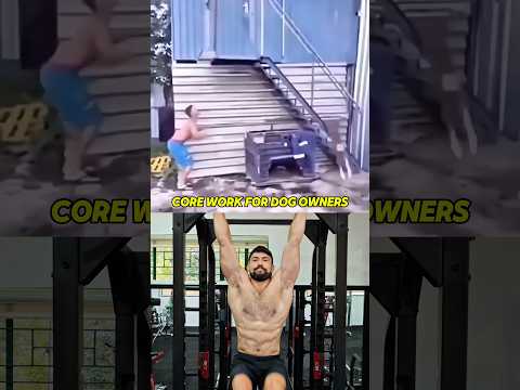 Stay ready 😂💪🐶 #mma #martialarts #ufc #bjj #jiujitsu #sambo #wrestling #funnyshorts #markmugen thumbnail