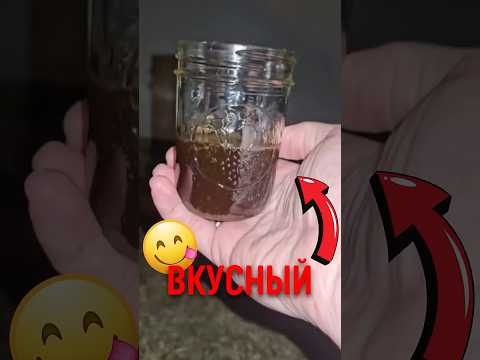 🍯 Как сок клёна превращают в сироп? #природа #еда #факты thumbnail