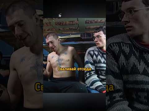 СЛОН ЗАЕХАЛ🙄 #сериал #криминал #кино #фильм thumbnail