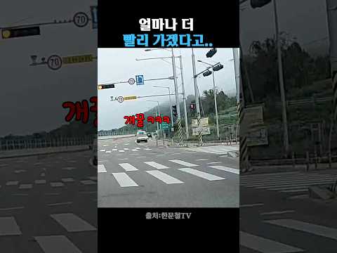 얼마나 더 빨리 가겠다고… thumbnail
