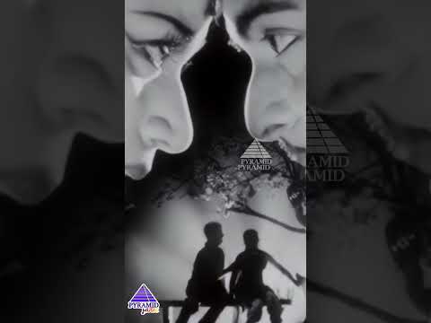 செக்க சிவந்த | Poojaiku Vantha Video Song | Paadha Kaanikkai Movie | GeminiGanesan |Savitri |#shorts thumbnail