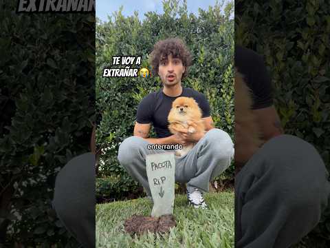 ENTERRÉ A MI MASCOTA PACOTA thumbnail