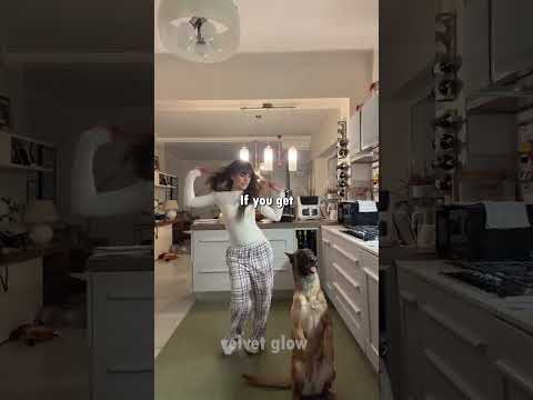 What To Do If a Dog Attacks You 😳🐕 thumbnail