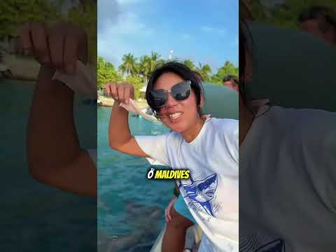 Tại sao đàn cá mập này lại bu quanh cô gái nhiều đến vậy 😳 thumbnail