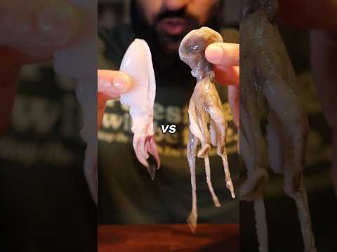 Octopus vs Squid...Tastiest Tentacle? thumbnail