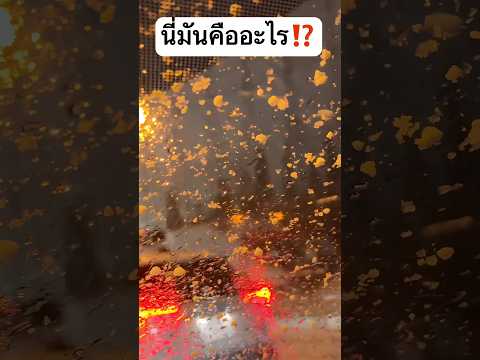 มันคืออะไร ตกลงมาจากฟ้า! #jamsai #jamsaijs #แจ่มใส thumbnail