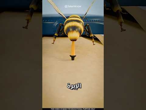 ما سر لسع النحلة thumbnail