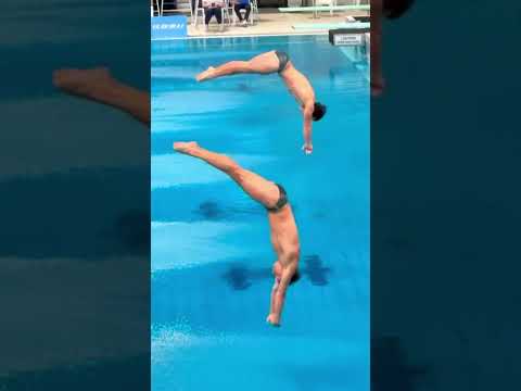 Diving thumbnail