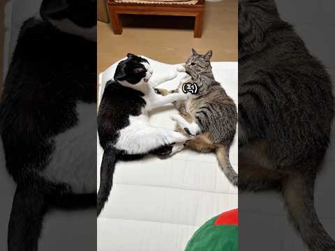 딸들은 원래 이런가요? thumbnail