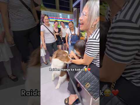 ANABUL KETEMU KAKAK ONLINE‼️ RAIDEN MANJA BANGET😂😍 #shorts #anjinglucu thumbnail
