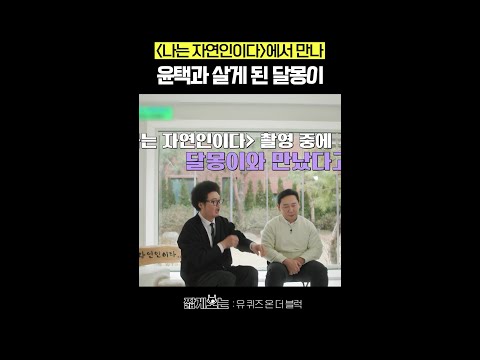 주인보다 인기 많은(?) 윤택네 강아지 #유퀴즈온더블럭 thumbnail