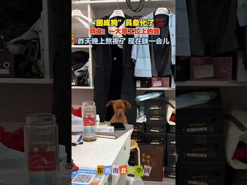 狗子：报告老师，我没睡觉。 thumbnail