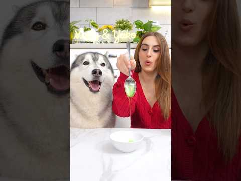 Come FARE gli ADESIVI di NATALE TUTORIAL 🎅🏼🎄🐶 #tutorial #natale #dog #cane thumbnail
