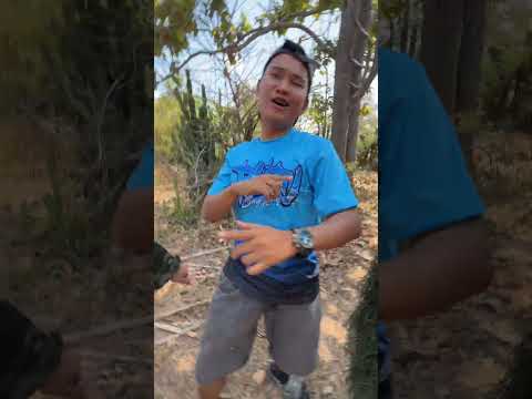 ฮัลโหลโก๋ thumbnail