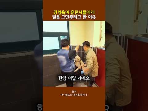 개 훈련사가 극한직업인 이유 thumbnail